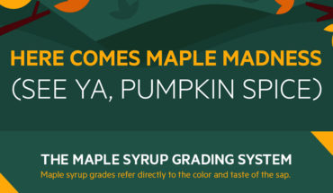Maple Syrup: The Trending Fall Ingredient That’s Becoming an Addiction! - Infographic