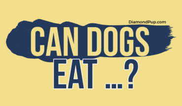 The Comprehensive Guide to Safe and Unsafe Human Foods for Dogs - Infographic