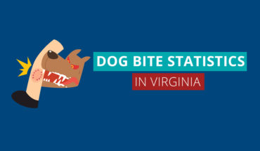 What to Do If You Suffer a Dog Bite in the State of Virginia - Infographic