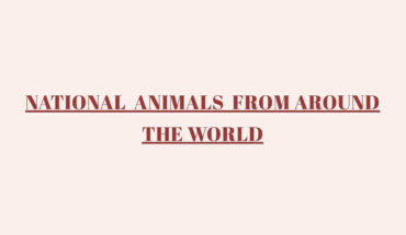 47 of the World’s Best Loved ‘National’ Animals - Infographic