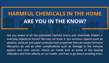 How to Avoid the Effects of Harmful Chemicals at Home - Infographic