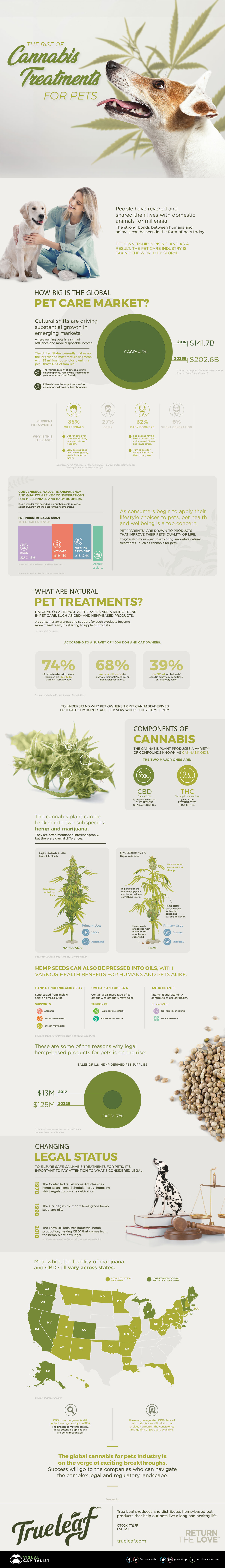 The Case for Natural Pet Remedies: Cannabis Treatment - Infographic