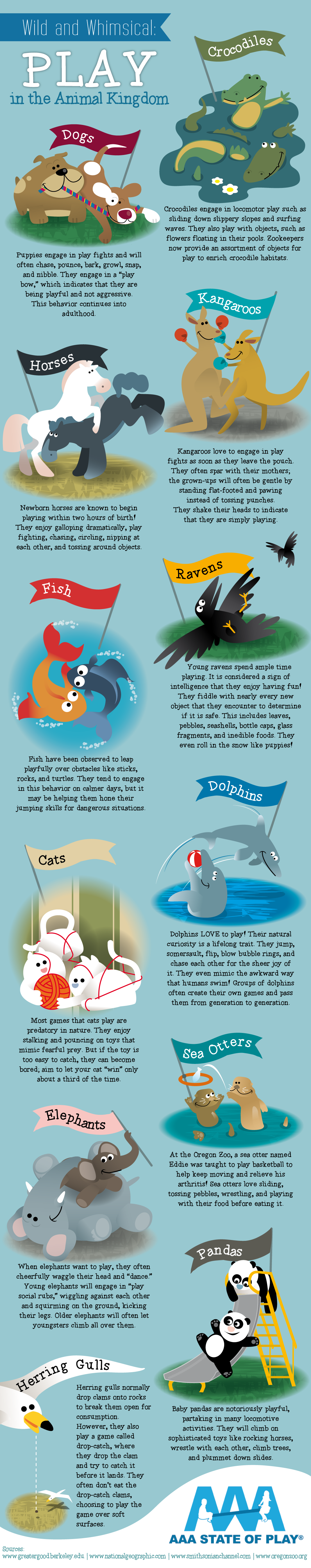 Animal Playtime: Yes, They Play Too! - Infographic