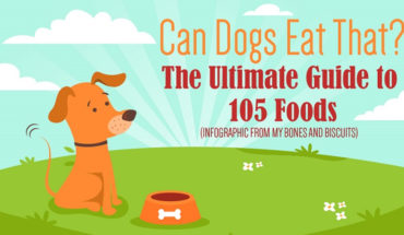 Comprehensive Ready Reckoner of 105 Dog-Friendly and Dog-Unfriendly Foods - Infographic