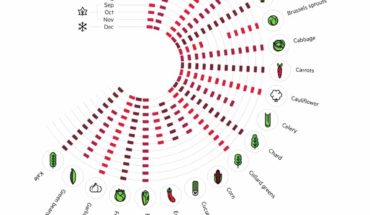 Eat Fresh: The Seasonal Calendar for Fresh Fruits and Veggies - Infographic