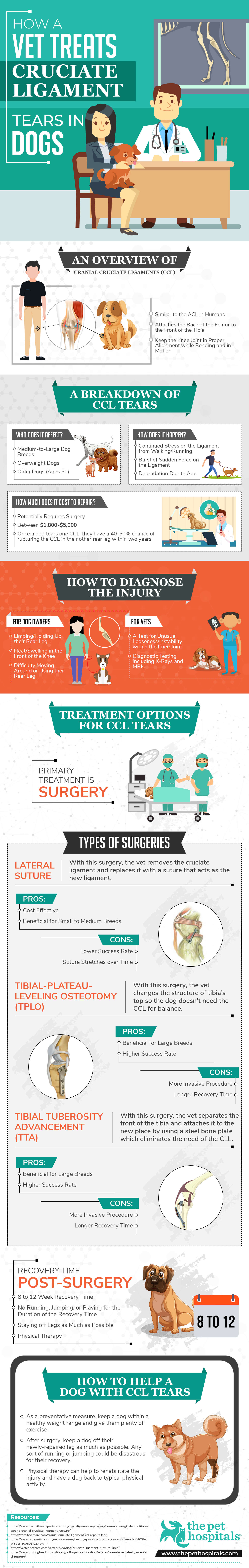 Cruciate Ligament Tears in Dogs: Optional Courses of Treatment - Infographic