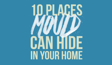 10 Hotspot Zones for Mold and How to Keep Your Home Safe - Infographic