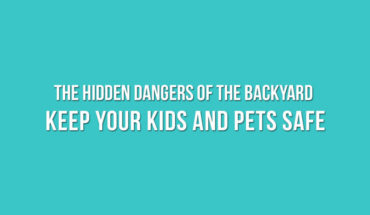 Backyard Dangers and How to Keep Your Family Safe - Infographic