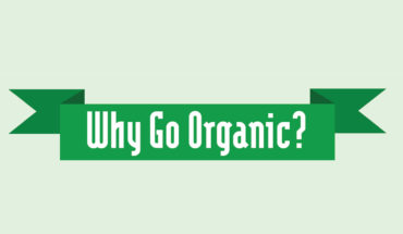 Go Organic: The Healthier, More Responsible Choice - Infographic