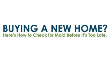 How to Check for Harmful Mold Before Buying a New Home - Infographic