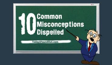 Myth Vs Reality: Correcting 10 Common Misconceptions - Infographic