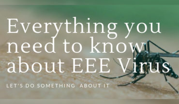 The Triple-E Sickness: Everything You Need to Know About EEE - Infographic