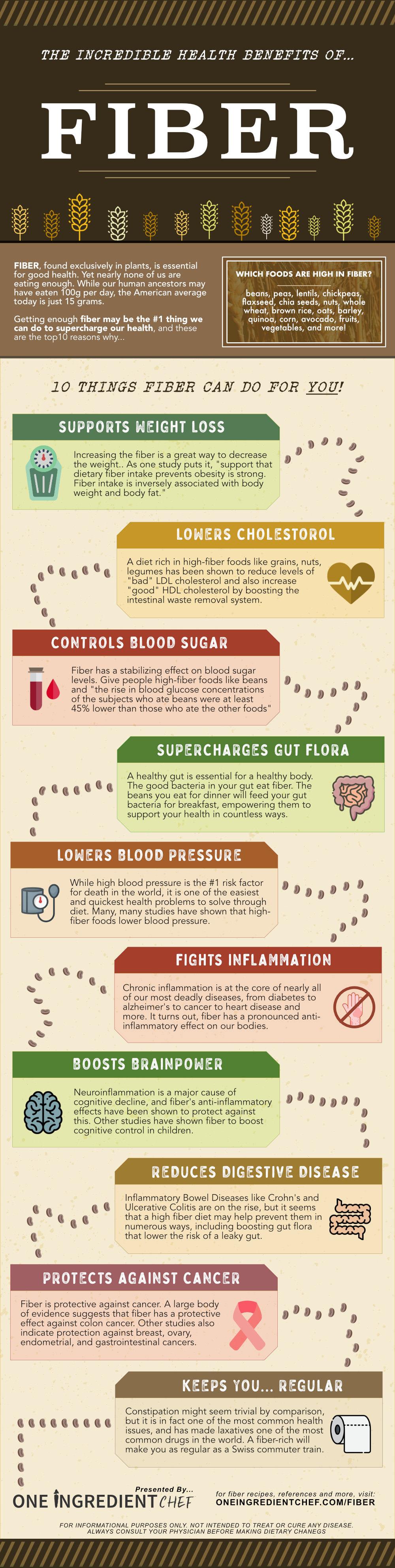 10 Reasons Why a High-Fiber Diet is Not Negotiable! - Infographic