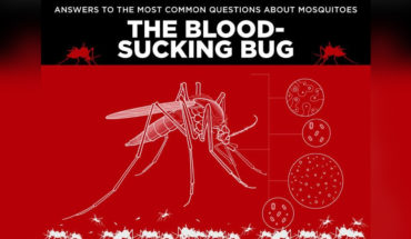 Blood-Sucker Facts: Everything You Wanted to Know About Mosquitoes - Infographic