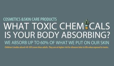 Ready Reckoner of 12 Dangerous Toxic Chemicals in Personal Care Products - Infographic