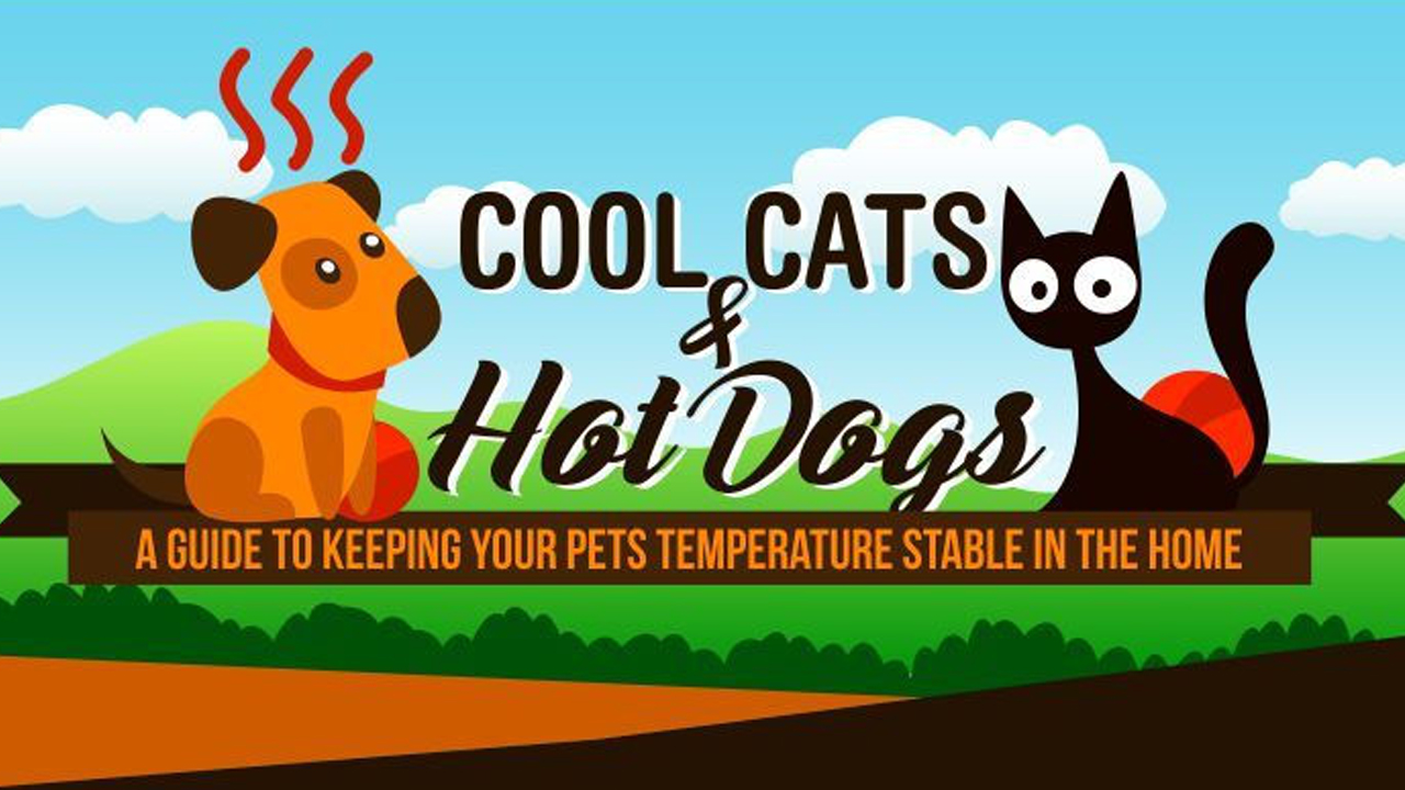 Dogs & Cats Edition How To Keep Their Body At A Comfortable