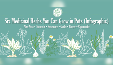 DIY: Grow Your Own Medicinal Herbs