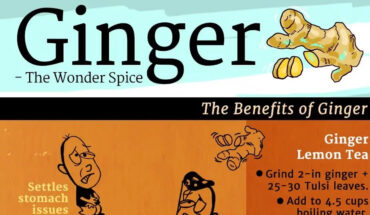 Health Benefits of Ginger - Infographic